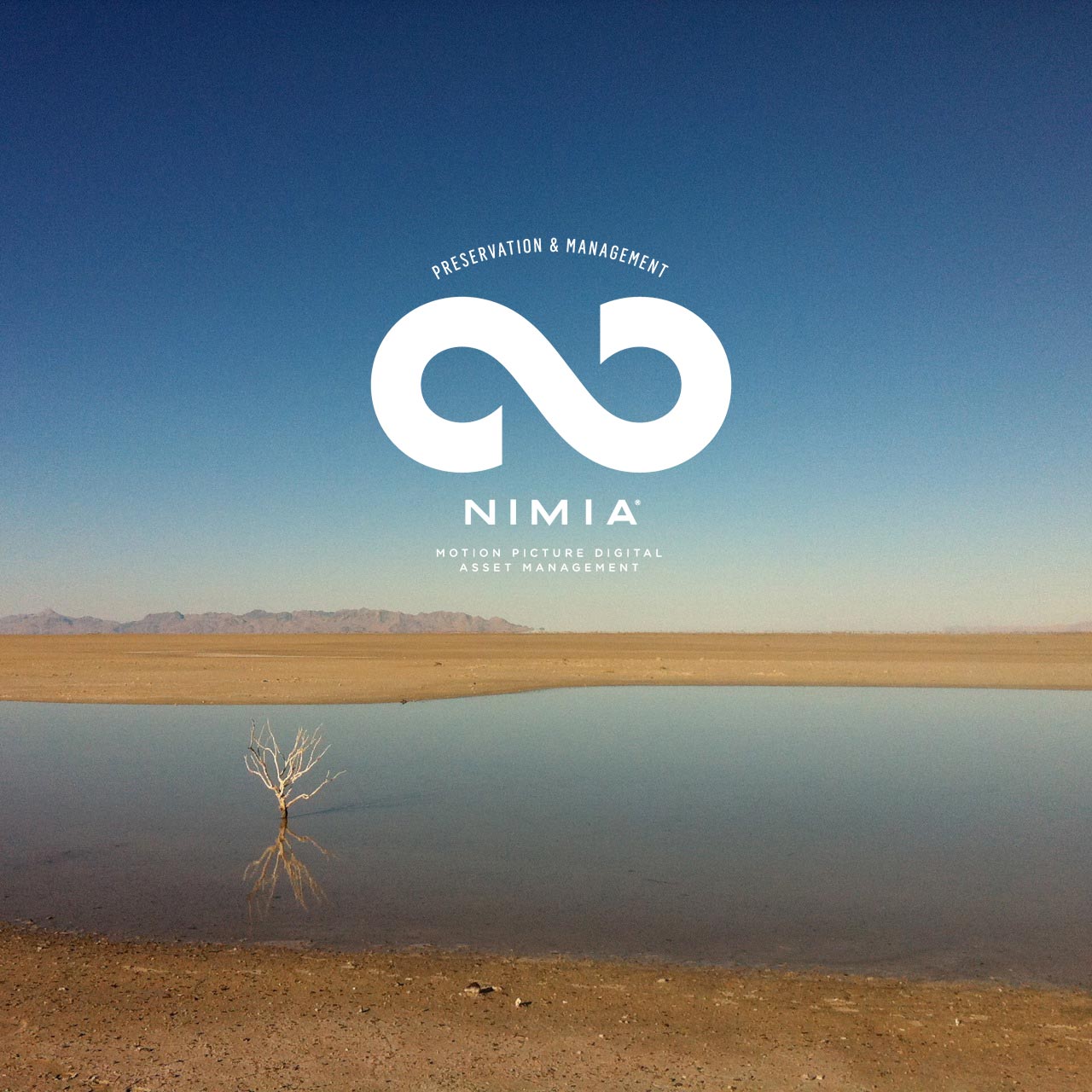 Nimia_isolated_sq (3)